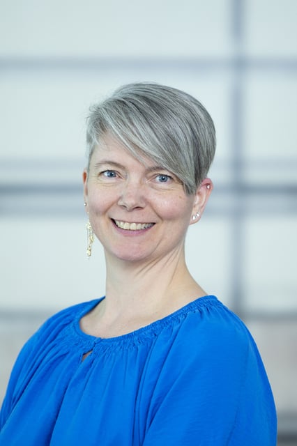 Profilbillede af Jane Brørup Philippsen, Seniorerhvervsrådgiver - Sundhedssektor